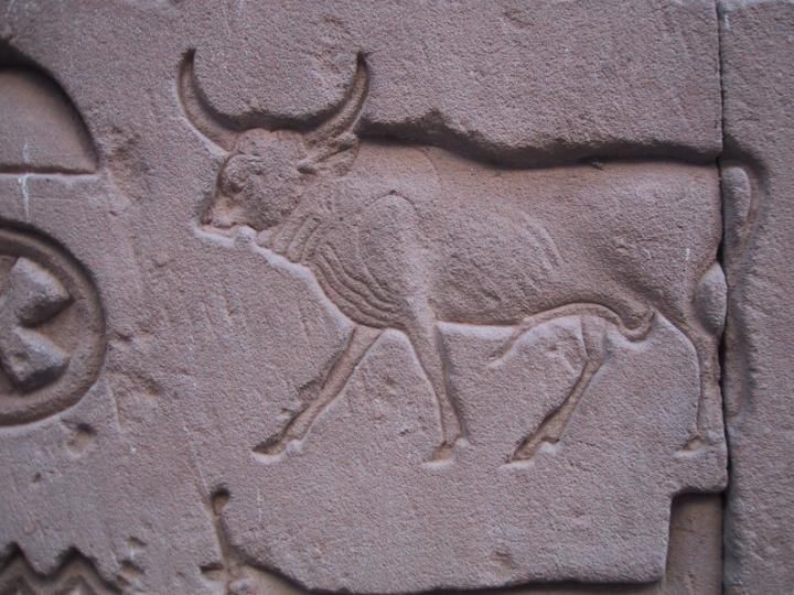 Bull hieroglyph