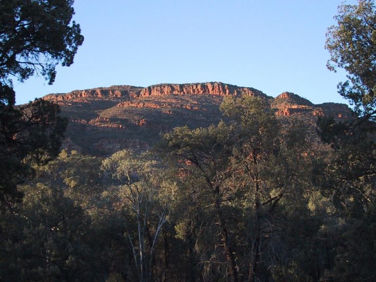 Peak in  Flinders Ranges National Park, South Australia 