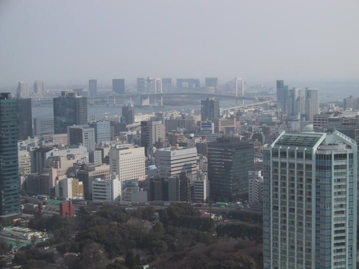 View from Tokyo Tower