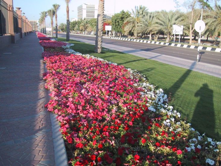  in many places in Abu Dhabi, United Arab Emirates 