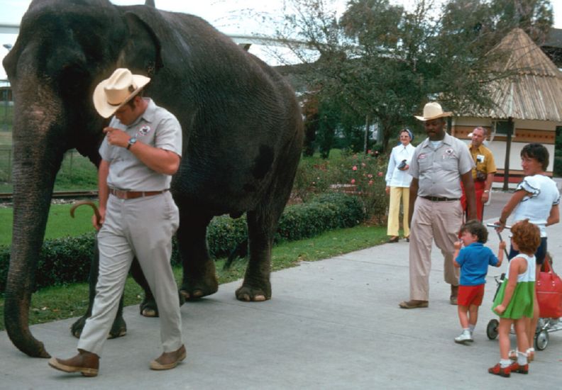  at Busch Gardens, Tampa Bay, Florida, early January 1975