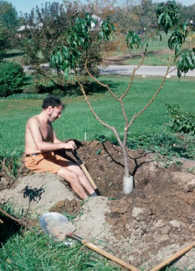 , Fall 1975